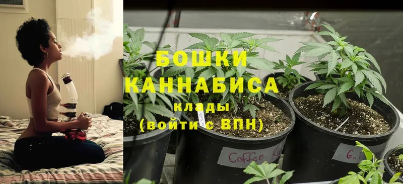 omg как зайти  где можно купить наркотик  Орск  Бошки Шишки Ganja 